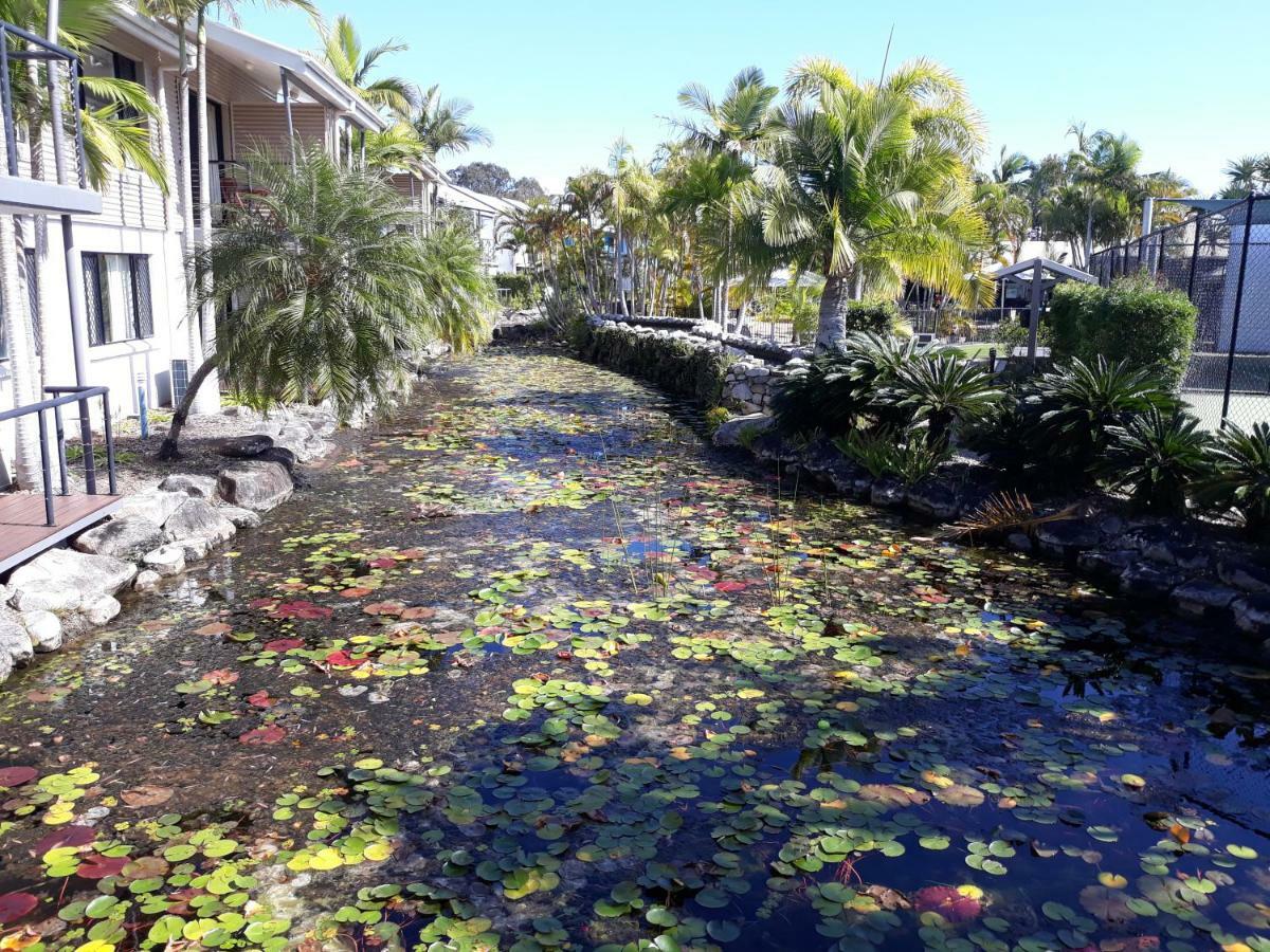 Immaculate 1 bedroom resort holiday unit near Noosa River Noosaville Exterior foto